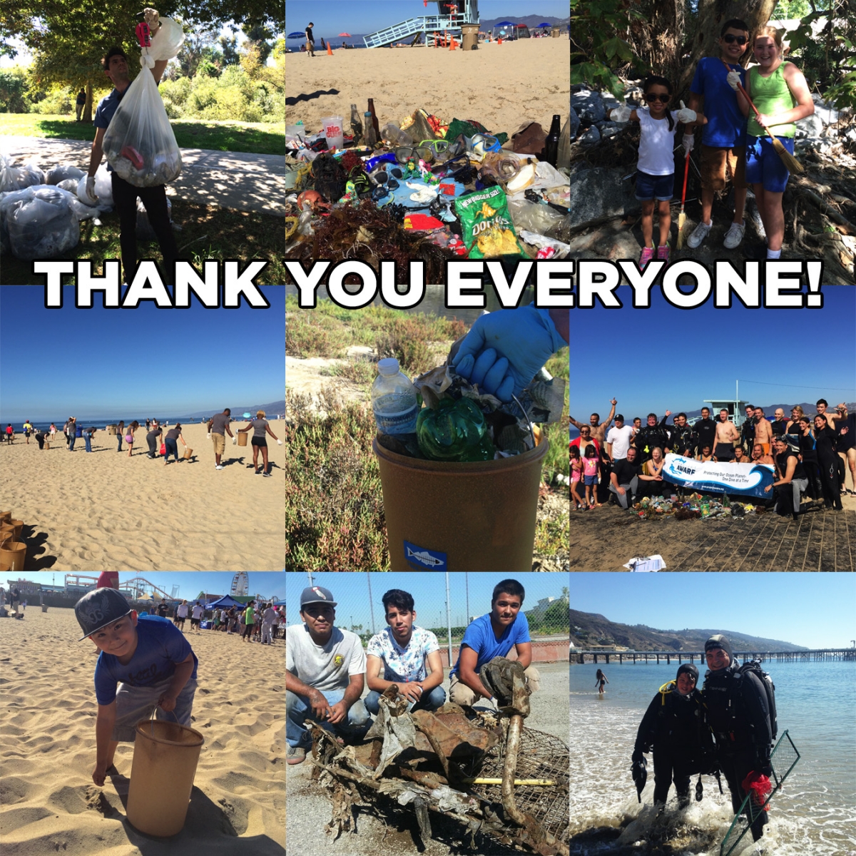 Coastal Cleanup Day 2015 photos
