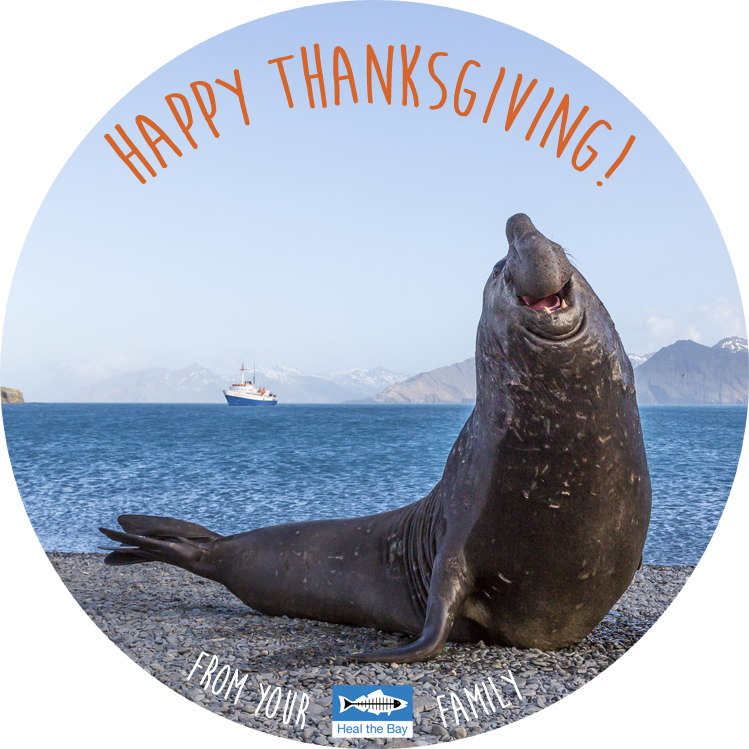Happy Thanksgiving from Heal the Bay