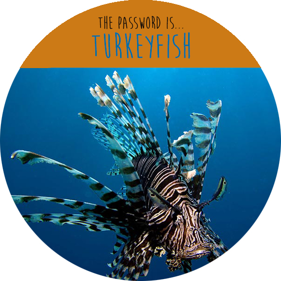 The password for free admission to our Aquarium (Dec. 2-7) is "turkeyfish"