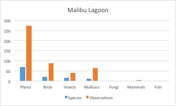 Malibu Lagoon species diversity bar graph