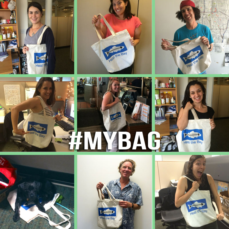 #MyBag Heal the Bay Employees