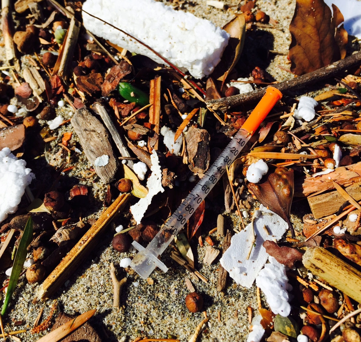 The Syringe Saga Continues - Heal the Bay