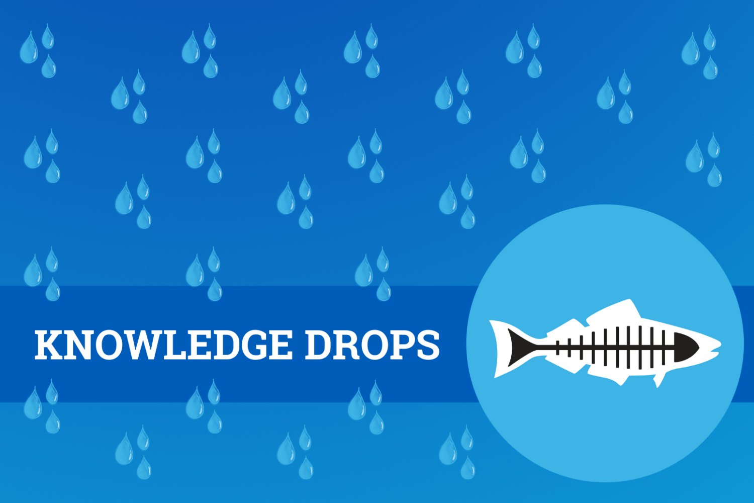Knowledge Drops Science Education Webinar Series Archive - Heal the Bay