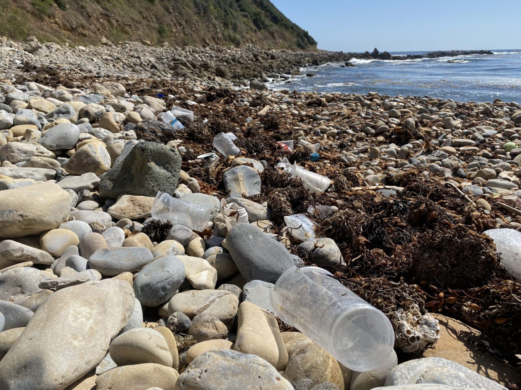 Take Action Bring the Plastic Pollution Fight to the VOTERS Heal the Bay