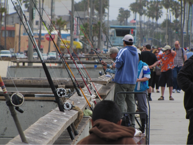 Spotlight on Venice Pier, a Favorite Fishing Location in Santa Monica ...