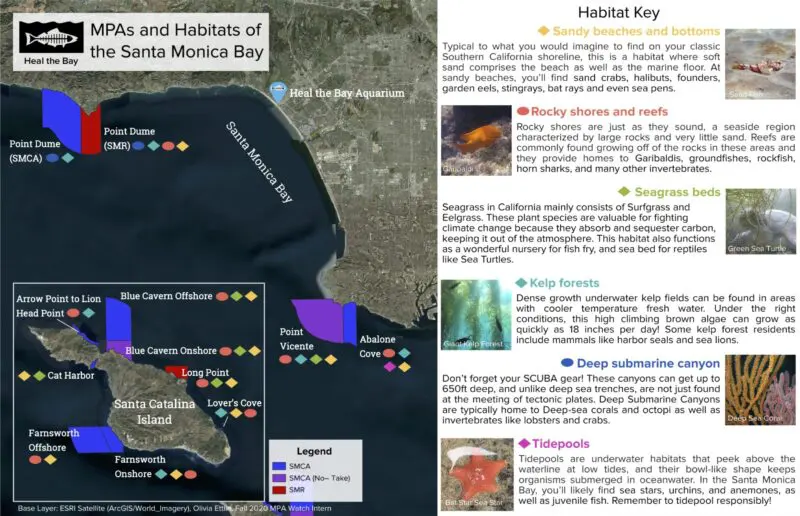  Your Map to Staying Active in Santa Monica