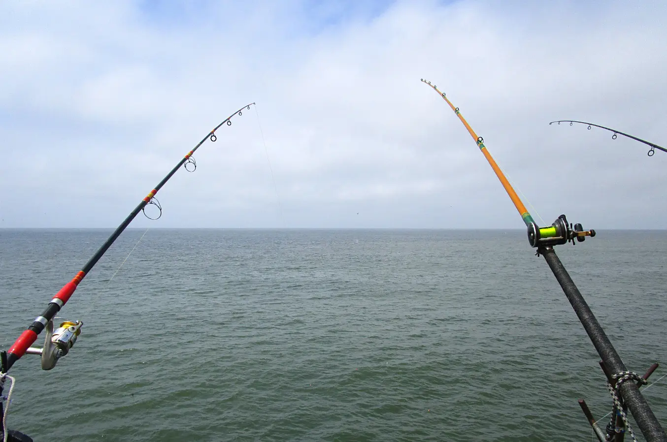 Long Beach's Belmont Pier, the Busiest Fishing Pier - Heal the Bay