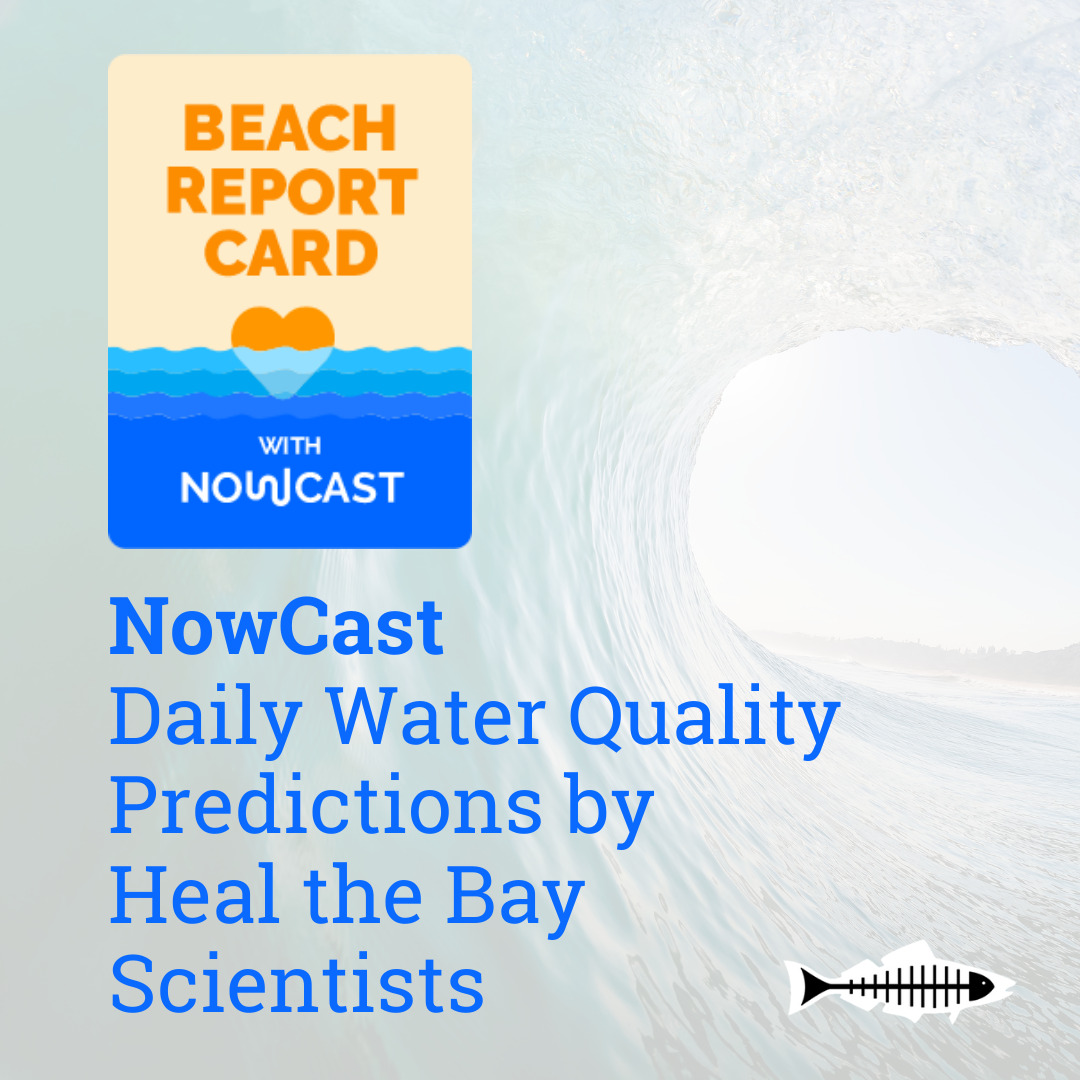 Beach Report Card logo and the statement, NowCast Daily Water Quality Predictions from Heal the Bay Scientists