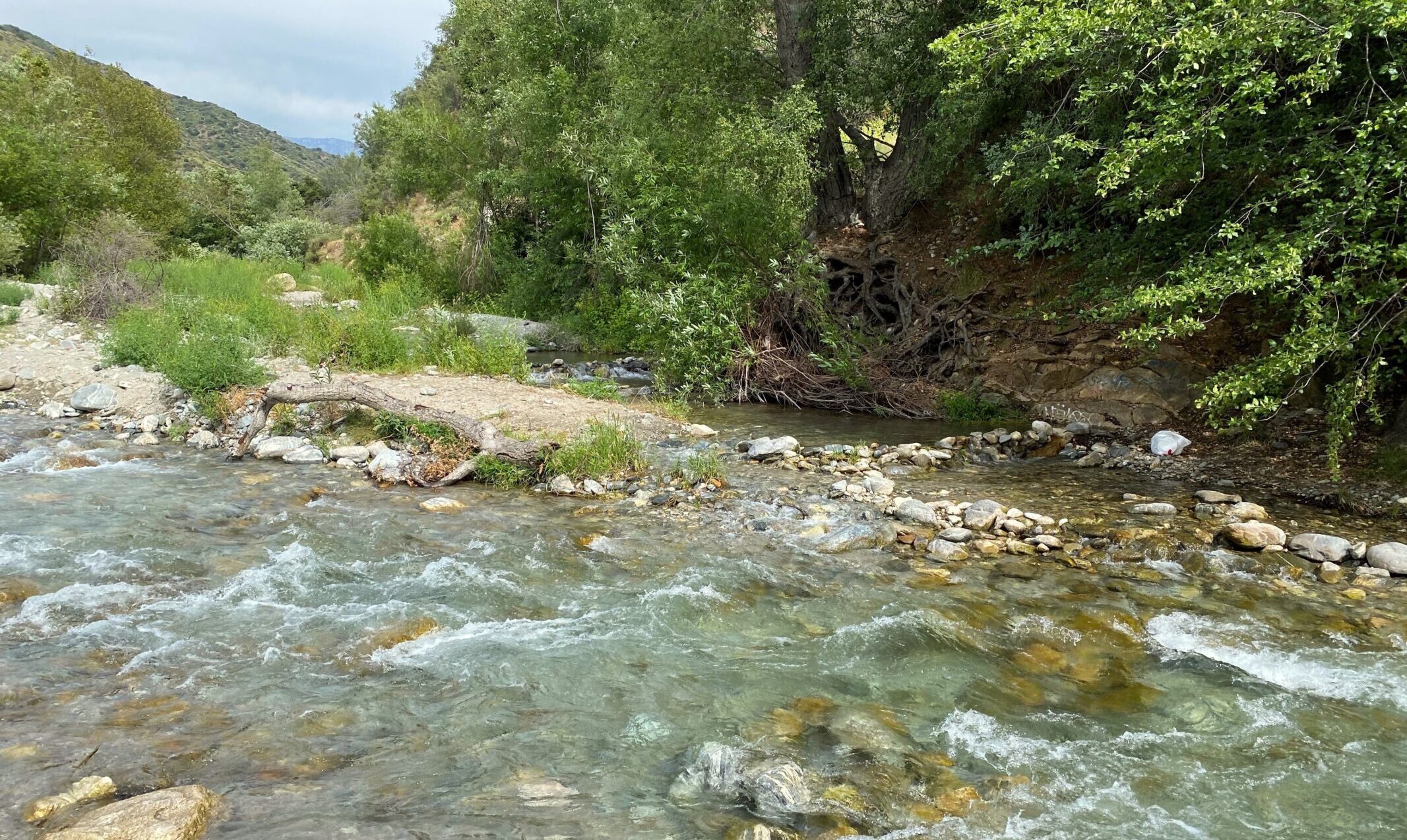 The North Fork of the San Gabriel River