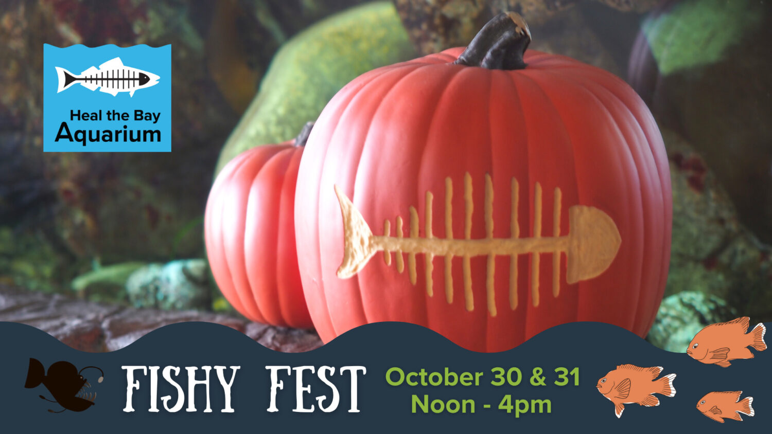 Fishy Fest Celebration at Heal the Bay Aquarium Heal the Bay