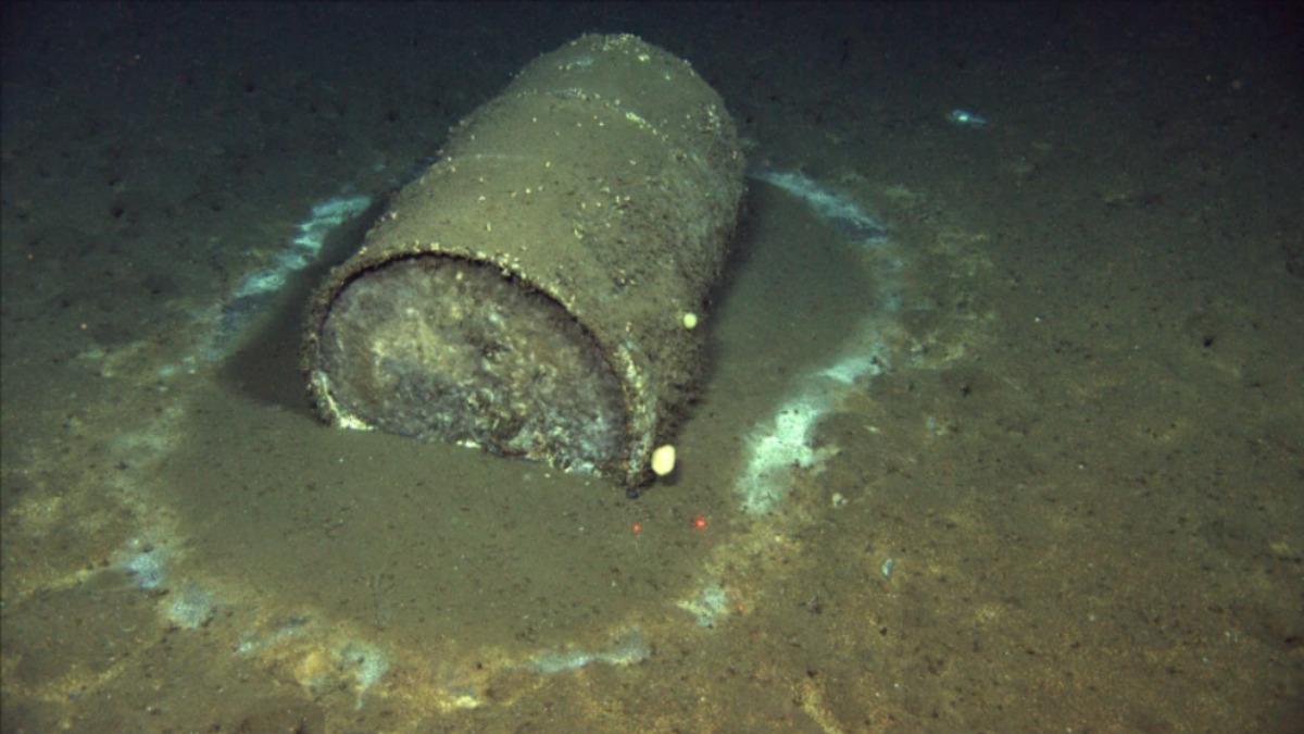 Urge California to Take Action on Shameful History of Toxic DDT Dumping