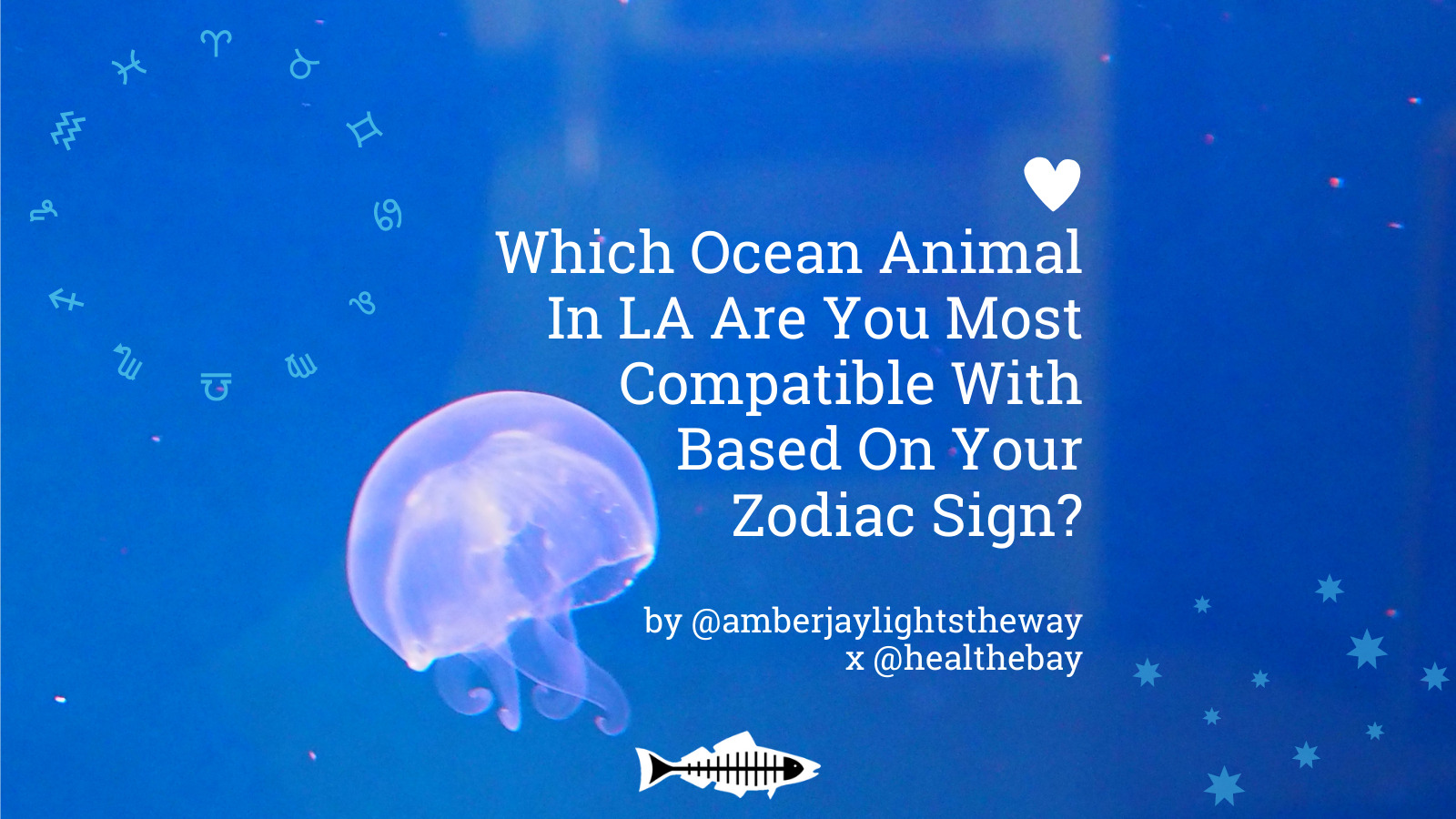 Which Ocean Animal in LA are you Most Compatible with Based on your Zodiac  Sign? - Heal the Bay