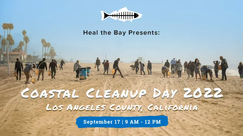 Coastal Cleanup Day at the Bay