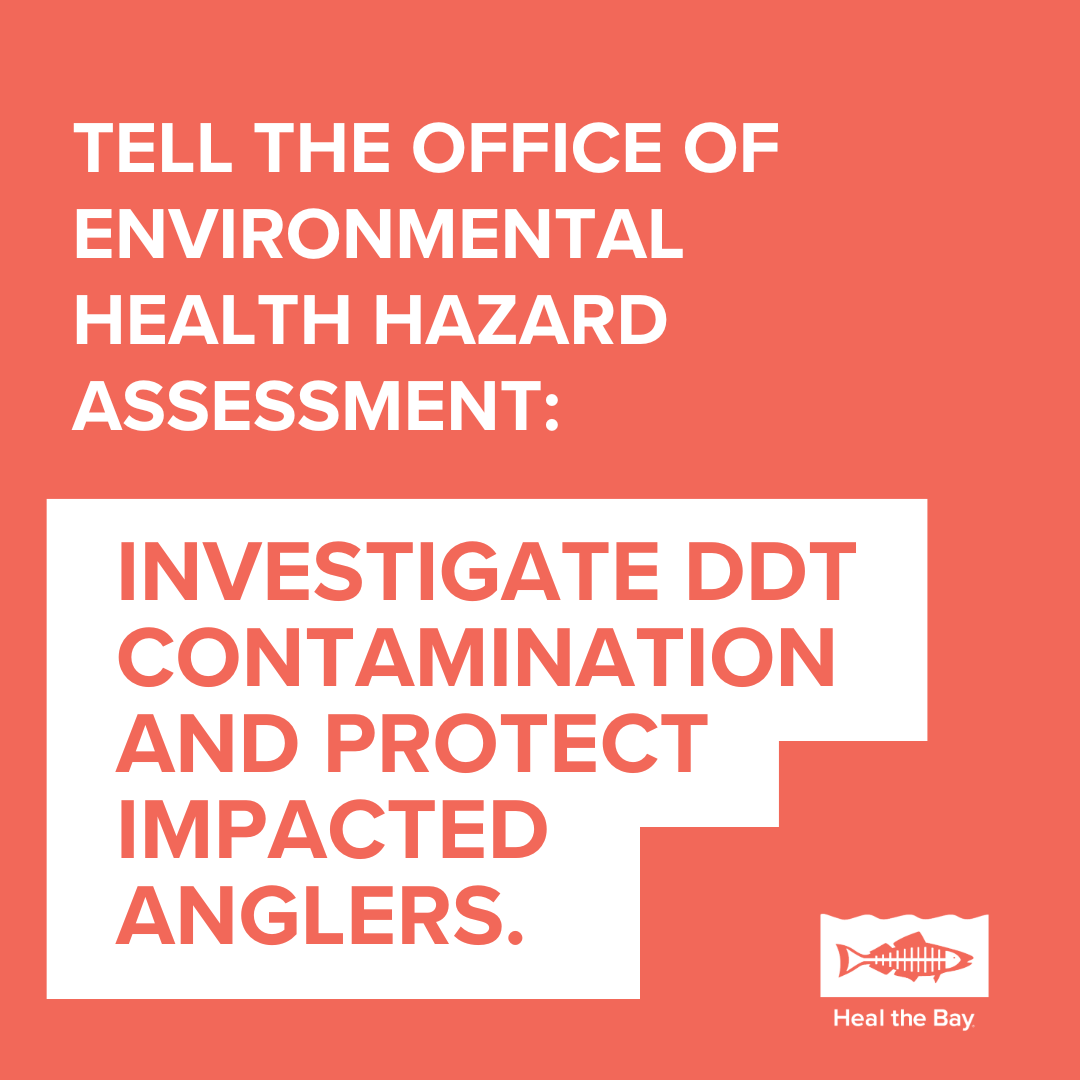Tell the Office of Environmental Health Hazard Assessment: Investigate DDT Contamination and Protect Impacted Anglers.