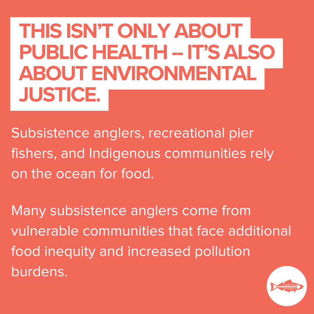 This isn’t only about public health -- it’s also about environmental justice. Subsistence anglers, recreational pier fishers, and Indigenous communities rely on the ocean for food. Many subsistence anglers come from vulnerable communities that face additional food inequity and increased pollution burdens.