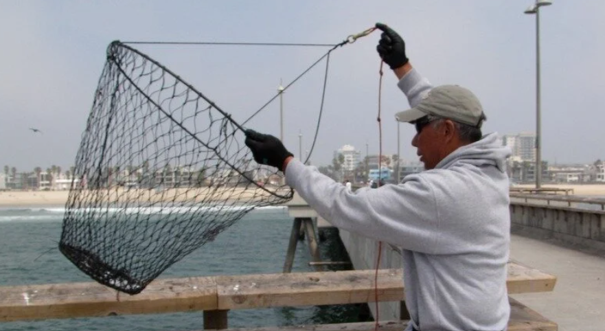 An angler uses a net to catch fish off the Santa Monica Pier