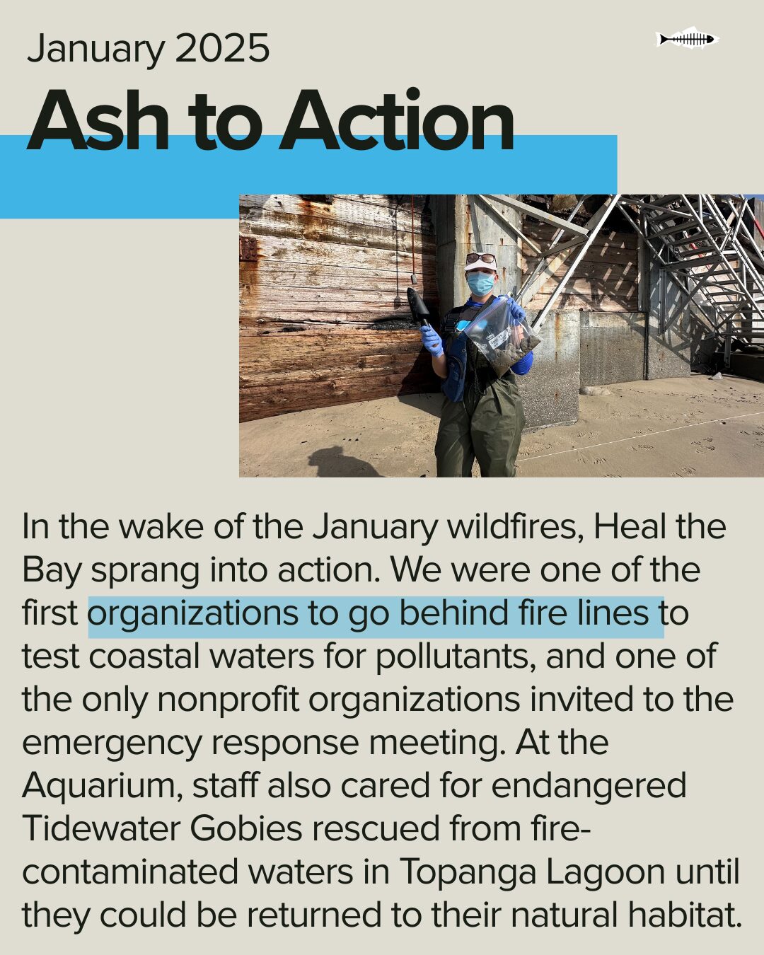 Ash to Action. In the wake of the January wildfires, Heal the Bay sprang into action. We were one of the first organizations to go behind fire lines to test coastal waters for pollutants, and one of the only nonprofit organizations invited to the emergency response meeting. At the Aquarium, staff also cared for endangered Tidewater Gobies rescued from fire-contaminated waters in Topanga Lagoon until they could be returned to their natural habitat.