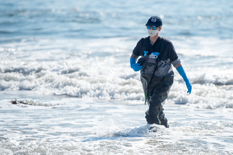 54295897696_b76d8d8a1d_c 54295897696_b76d8d8a1d_c