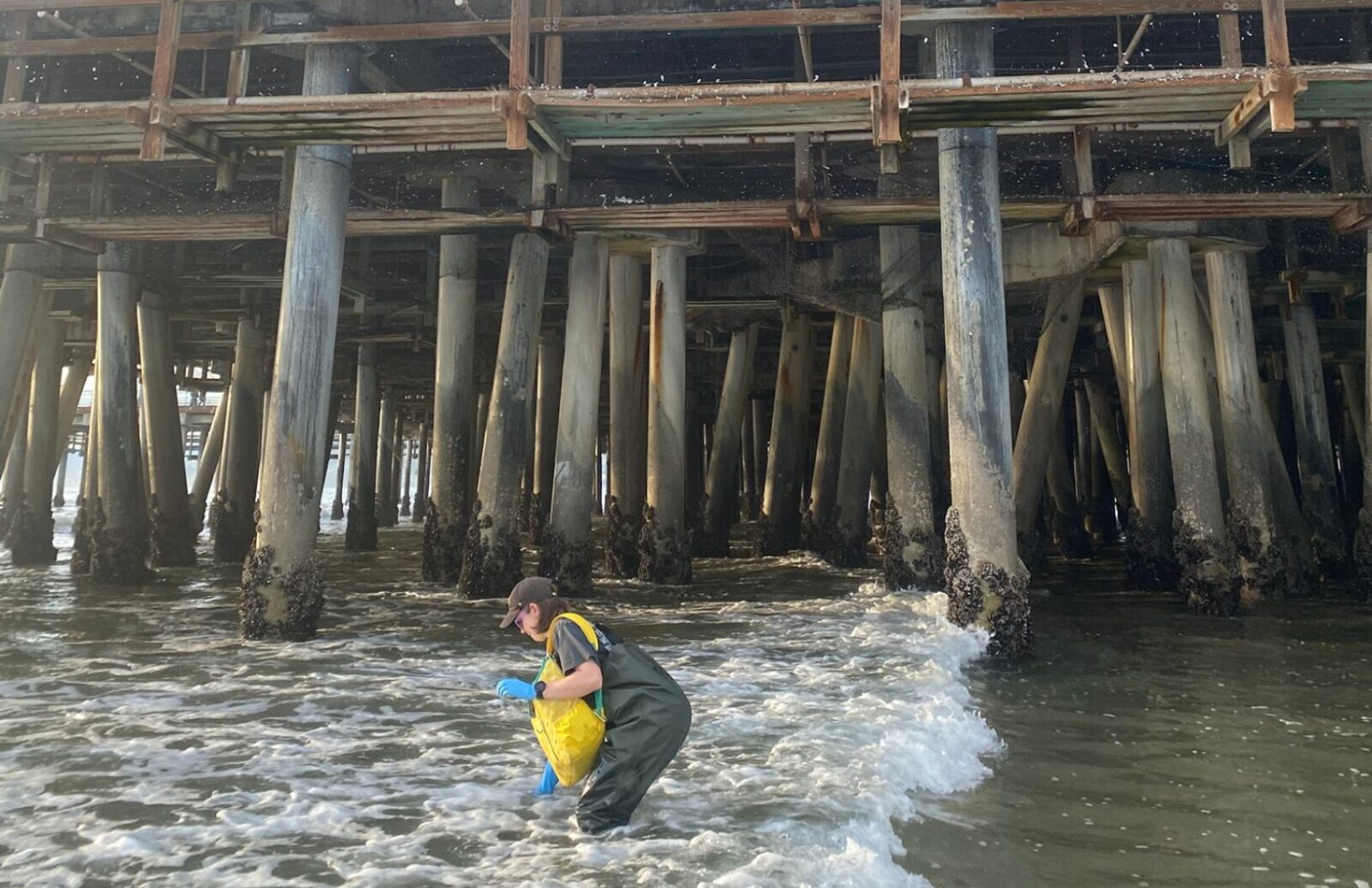 Beach Report Card - Heal the Bay